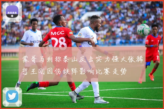 蒙哥马利称泰山反击实力强大张稀哲王刚因伤缺阵影响比赛走势