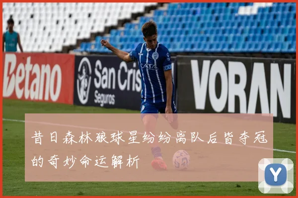 昔日森林狼球星纷纷离队后皆夺冠的奇妙命运解析
